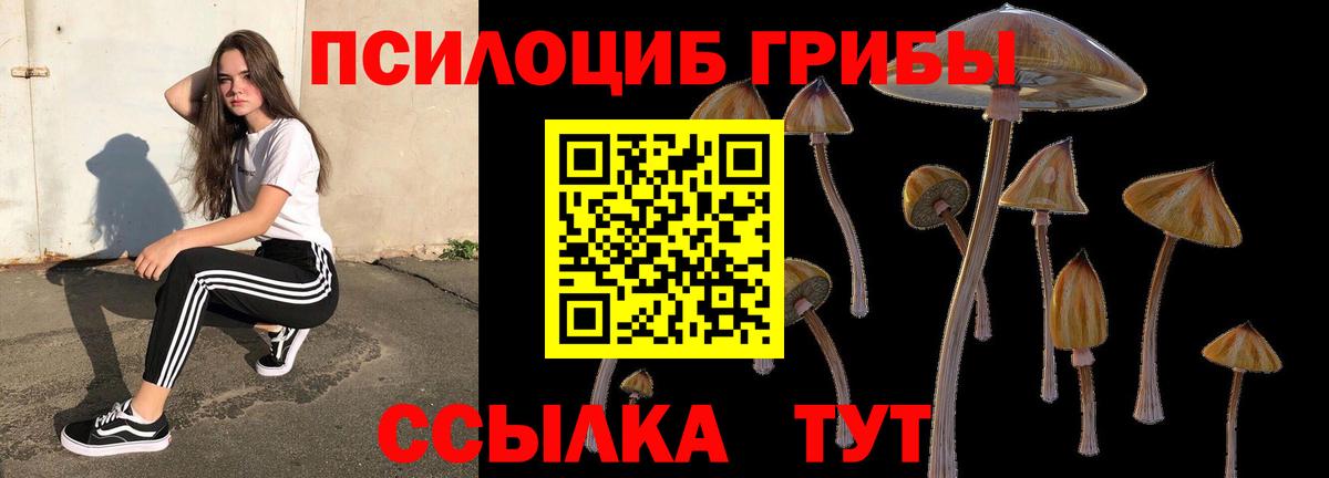 Псилоцибиновые грибы мухоморы  Вход с VPN  Петровск  Галлюциногенные грибы MAGIC MUSHROOMS 