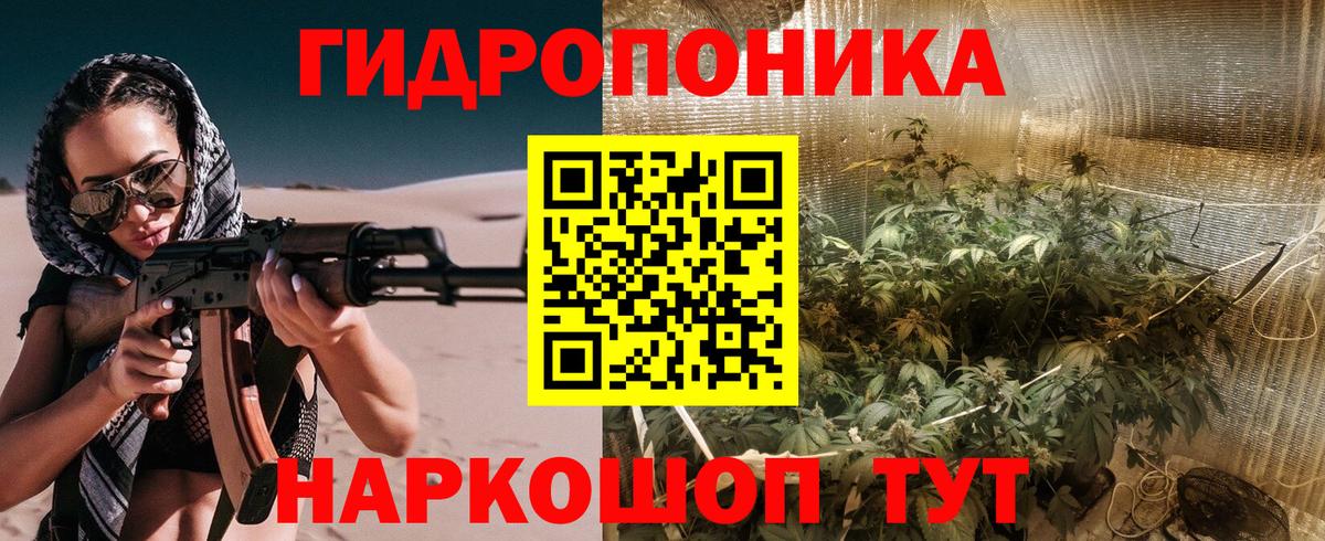 Бошки Шишки семена  Конопля MAZAR  Петровск  Вход с VPN 
